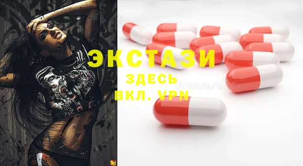 ECSTASY Алзамай