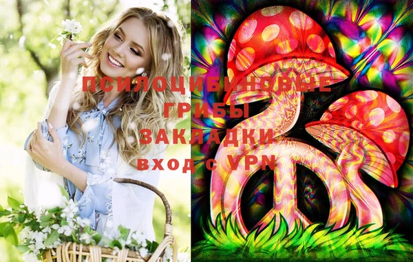 ECSTASY Алзамай