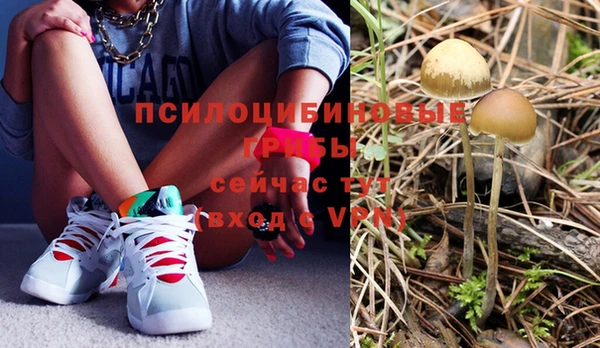 ECSTASY Алзамай