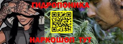 ГАЛЛЮЦИНОГЕННЫЕ ГРИБЫ Нарткала