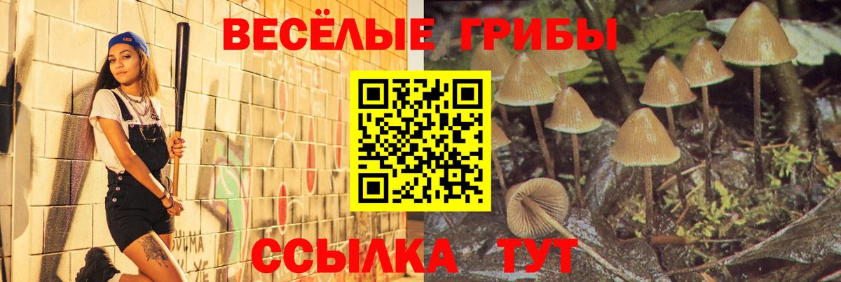 Псилоцибиновые грибы Cubensis  Псилоцибиновые грибы Psilocybine cubensis  Ставрополь  Вход с VPN 