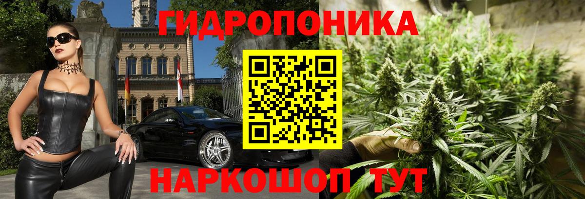 Марихуана тримм Ставрополь